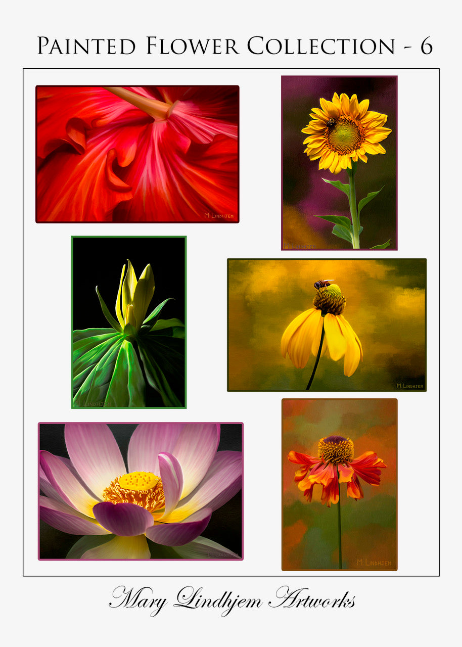 Painted Flower Greeting Cards (6-Count)