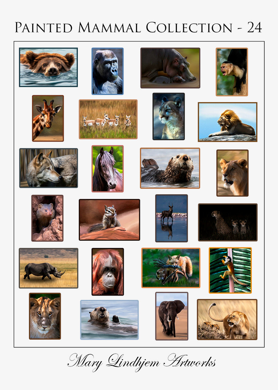 Painted Mammal Greeting Cards (24-Count)